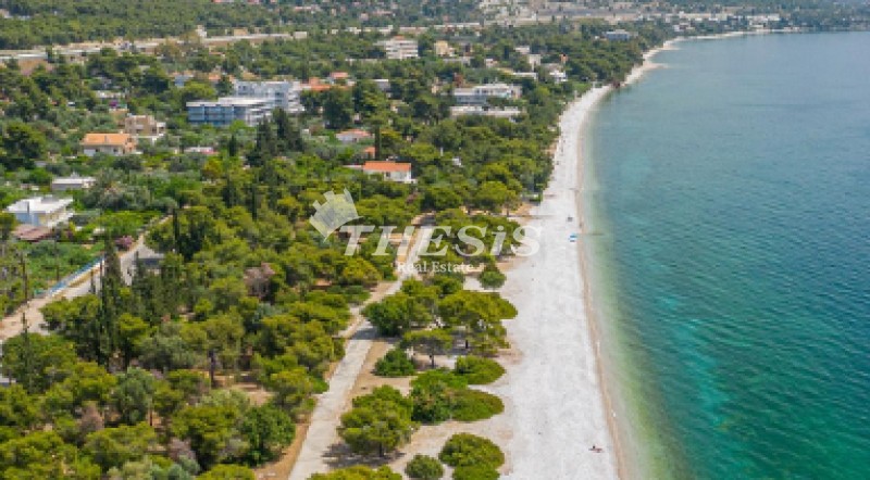 Αγροτεμάχια 528 τ.μ. προς πώληση, Κέντρο Αγίων Θεοδώρων