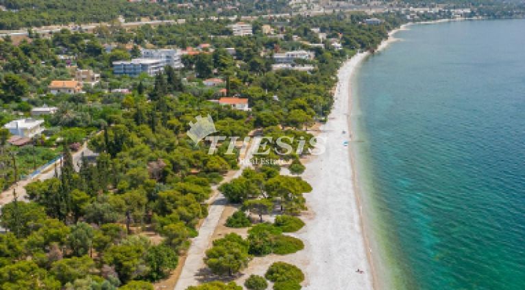 Αγροτεμάχια 528 τ.μ. για πώληση, Κορινθία, Άγιοι Θεόδωροι