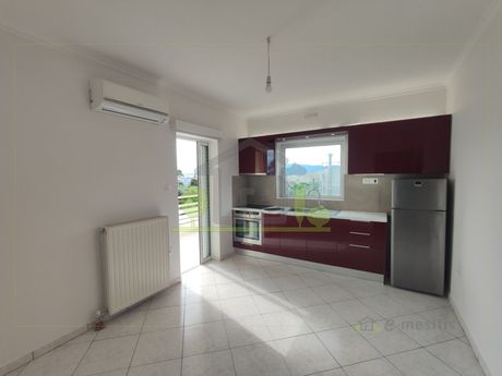 Studio 38sqm for rent-Rio » Aktaio