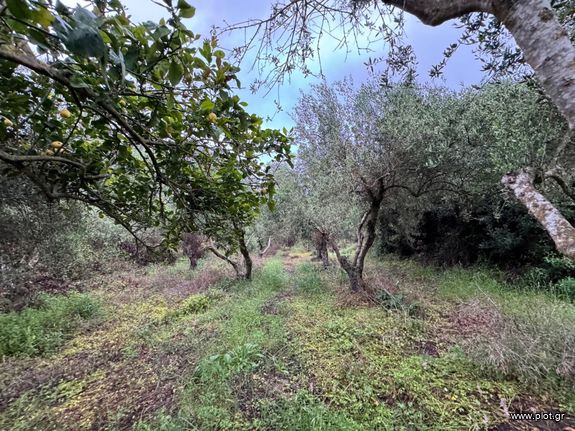 Land plot 5.000 sqm for rent, Rethymno Prefecture, Geropotamos