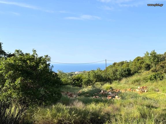 Land plot 15.700 sqm for sale, Rethymno Prefecture, Nikiforos Fokas