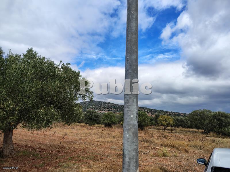 Οικόπεδο 4.000 τ.μ. πρός πώληση, Αττική - Υπόλοιπο, Καλύβια Θορικού