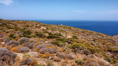 Land plot 4.113 sqm for sale