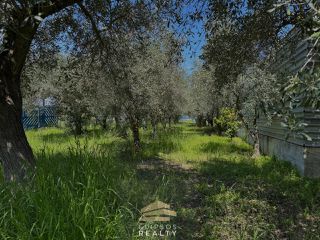 Μονοκατοικία 32 τ.μ. για πώληση, Εύβοια, Αιδηψός-thumb-16