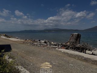 Μονοκατοικία 32 τ.μ. για πώληση, Εύβοια, Αιδηψός-thumb-10