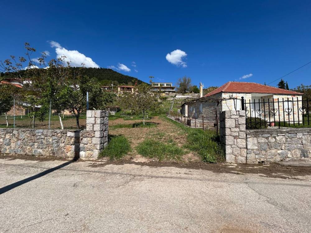 Οικόπεδο 800 τ.μ. πρός πώληση, Κορινθία, Φενεός
