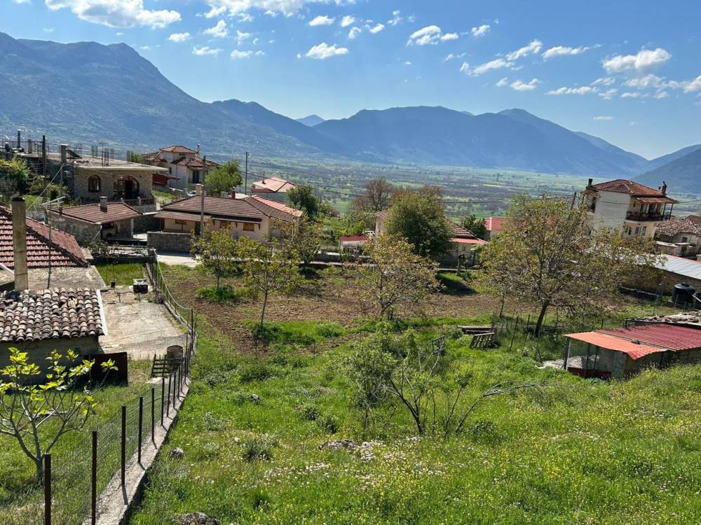 Οικόπεδο 800 τ.μ. πρός πώληση, Κορινθία, Φενεός