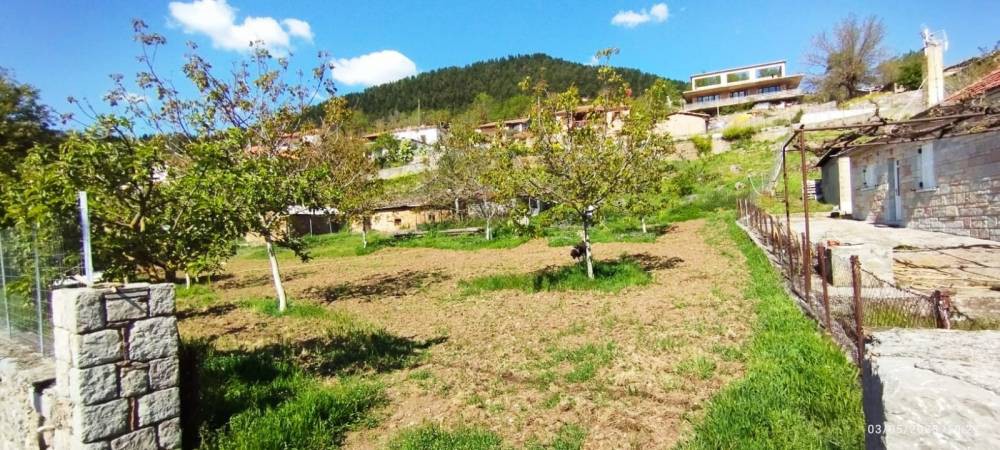 Οικόπεδο 800 τ.μ. πρός πώληση, Κορινθία, Φενεός