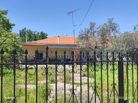 Μονοκατοικία 130τ.μ. για πώληση-Αμφίπολη » Ακτή νέων κερδυλίων