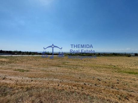 Αγροτεμάχια 18.862τ.μ. για πώληση-Ωραιόκαστρο » Βι.πα.