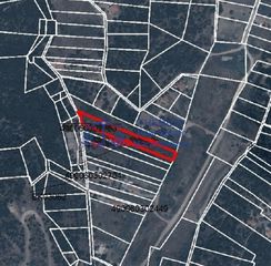 Αγροτεμάχια 2.400 τ.μ. για πώληση