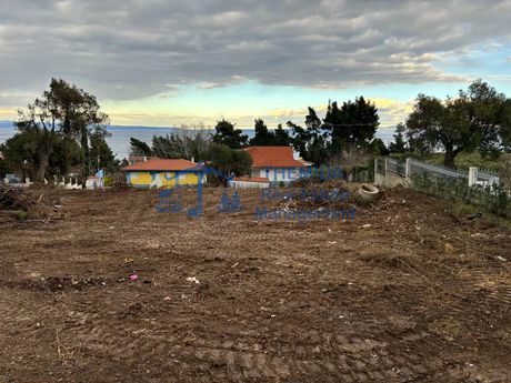 Parcel 4.000sqm for sale-Kassandra » Kriopigi