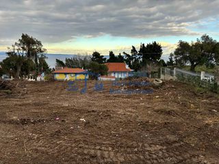 Αγροτεμάχια 4.000 τ.μ. για πώληση