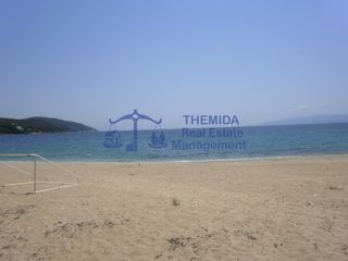 Αγροτεμάχια 6.070 τ.μ. προς πώληση