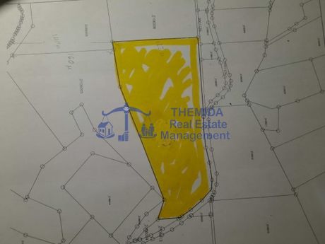 Parcel 23.500sqm for sale-Sithonia » Neos Marmaras