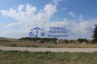 Αγροτεμάχια 6.700 τ.μ. για πώληση