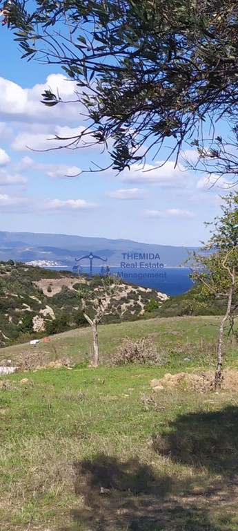 Αγροτεμάχια 4.402 τ.μ. προς πώληση, Άγιος Νικόλαος Σιθωνίας