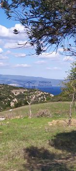 Αγροτεμάχια 4.402 τ.μ. για πώληση