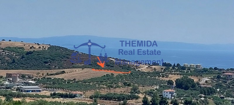 Αγροτεμάχια 4.402 τ.μ. προς πώληση, Άγιος Νικόλαος Σιθωνίας
