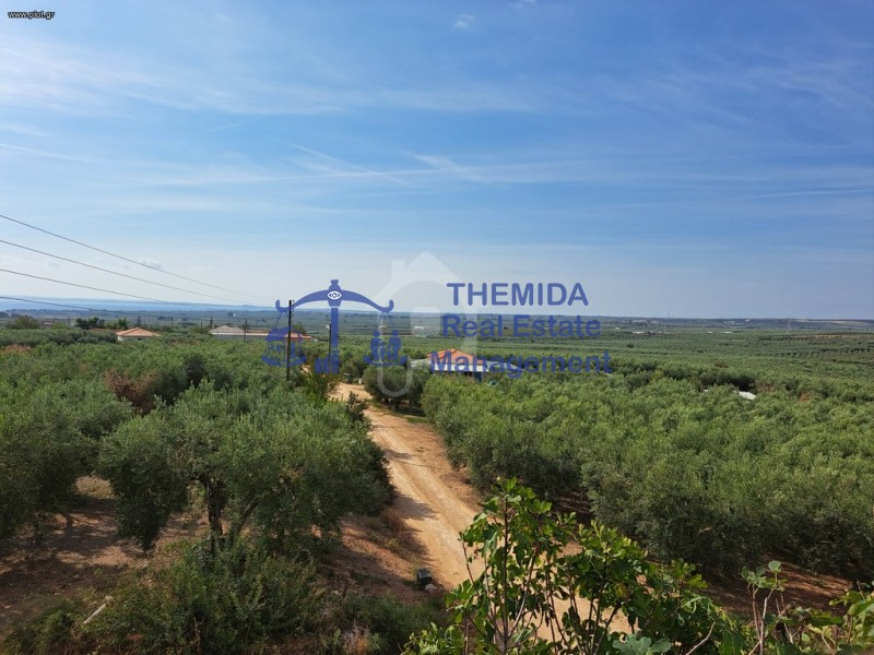 Αγροτεμάχια 6.640 τ.μ. προς πώληση, Καλύβες Πολυγύρου