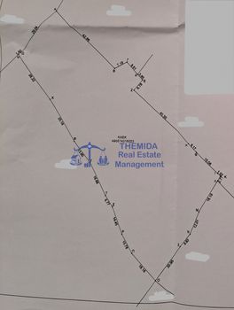 Αγροτεμάχια 5.742 τ.μ. για πώληση