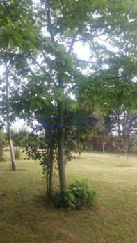 Parcel 1.000sqm for sale-Thermi » Neo Risio