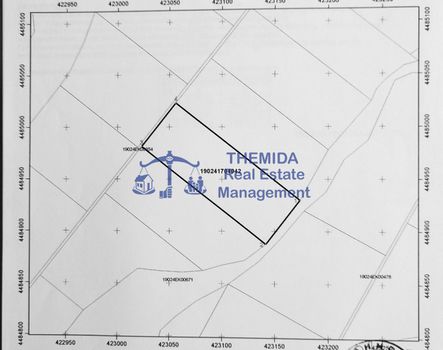 Parcel 8.000sqm for sale-Thermi » Nea Raidestos