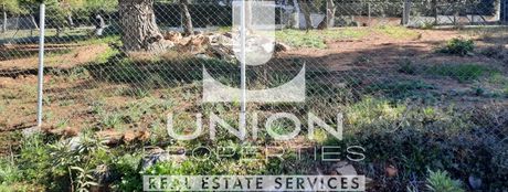 Land plot 890sqm for sale-Rodopoli