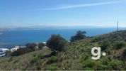 Land plot 4.000sqm for sale-Ermioni