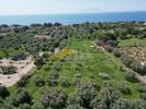 Οικόπεδο 1.165τ.μ. για πώληση-Αλεξανδρούπολη » Δίκελλα