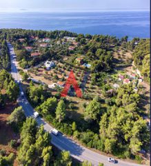 Αγροτεμάχια 1.550 τ.μ. προς πώληση