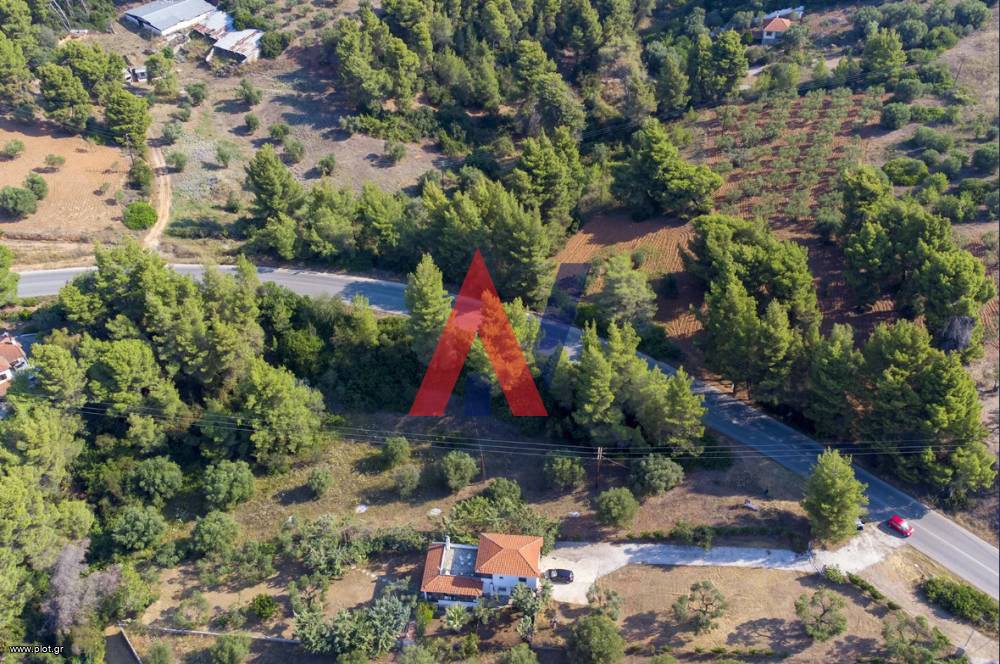Αγροτεμάχια 1.550 τ.μ. προς πώληση, Νικήτη
