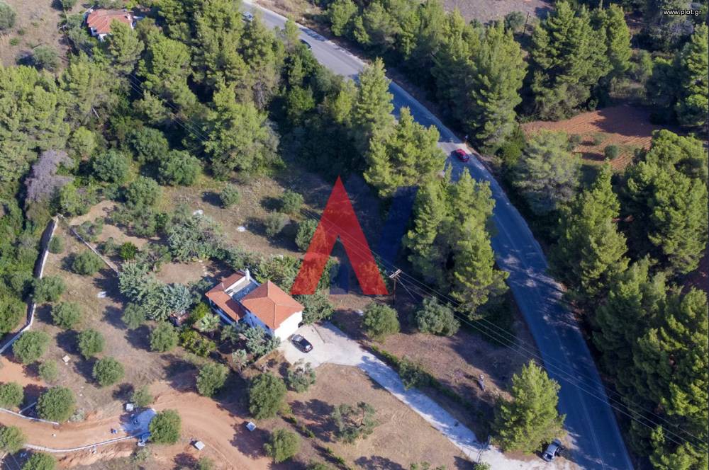 Αγροτεμάχια 1.550 τ.μ. προς πώληση, Νικήτη