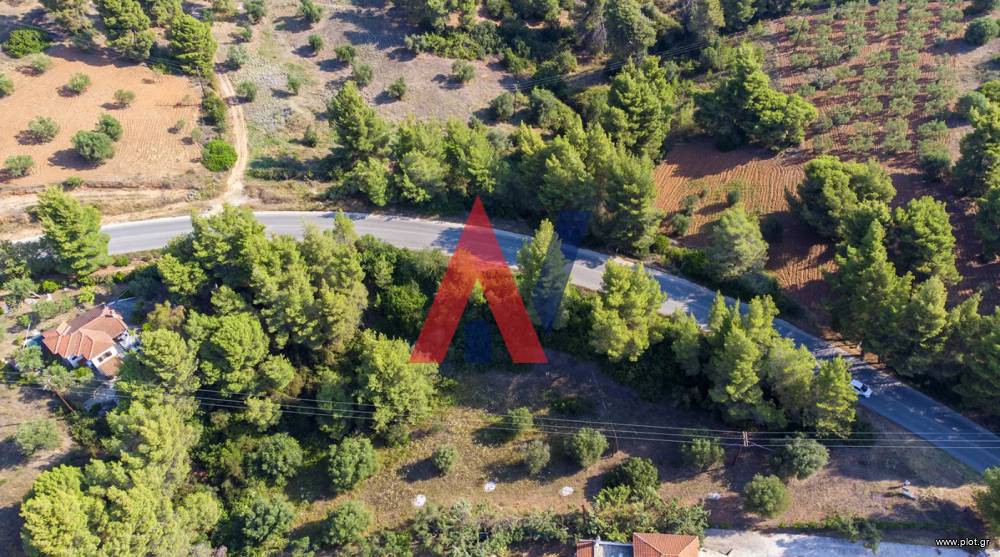 Αγροτεμάχια 1.550 τ.μ. προς πώληση, Νικήτη