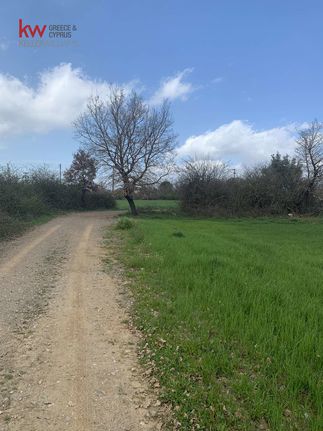 Land plot 15.588 sqm for sale, Arcadia, Megalopoli