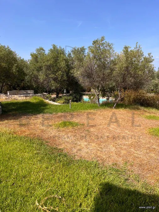 Βίλλα 158 τ.μ. πρός πώληση, Χαλκιδική, Κασσάνδρα