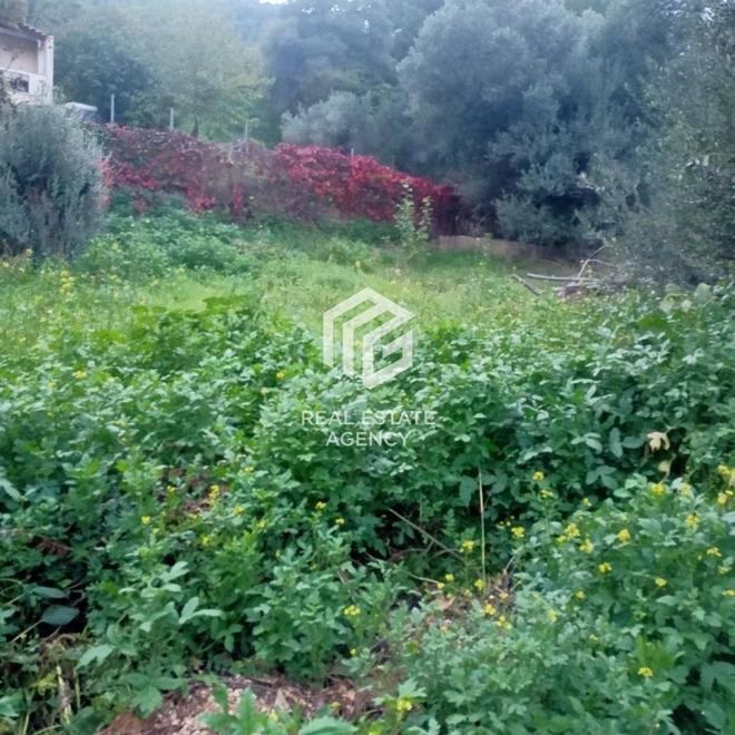 Αγροτεμάχια 234 τ.μ. προς πώληση, Αργιθέα Παιανίας