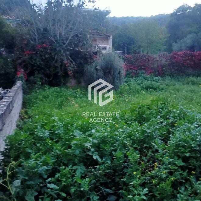 Αγροτεμάχια 234 τ.μ. προς πώληση, Αργιθέα Παιανίας
