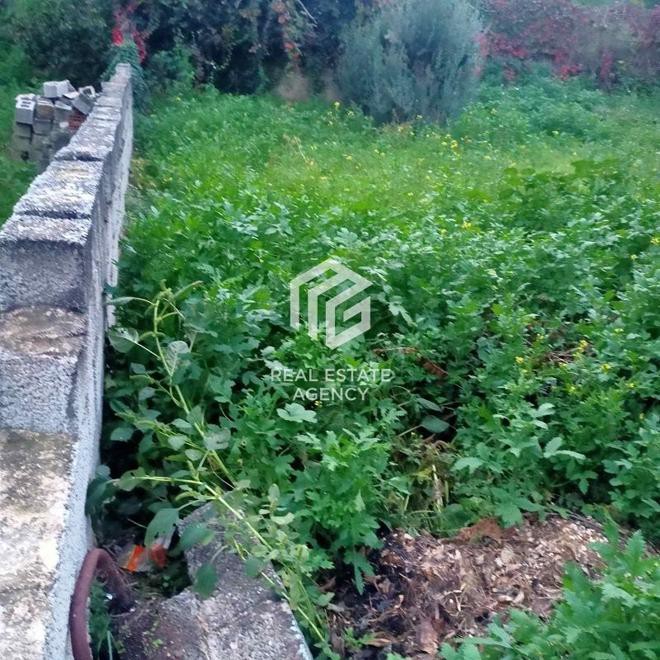 Αγροτεμάχια 234 τ.μ. προς πώληση, Αργιθέα Παιανίας