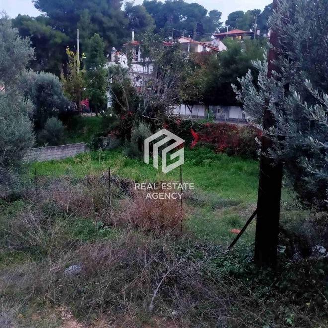 Αγροτεμάχια 234 τ.μ. προς πώληση, Αργιθέα Παιανίας