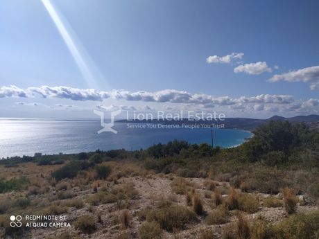 Αγροτεμάχια 16.000τ.μ. για πώληση-Κεφαλονιά » Λειβαθώ