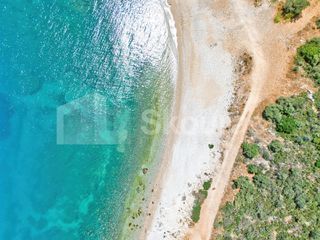Αγροτεμάχια 4.260,36 τ.μ. για πώληση