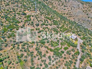 Αγροτεμάχια 4.260,36 τ.μ. για πώληση, Αργολίδα, Λέρνα-thumb-15