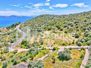 Αγροτεμάχια 4.260,36 τ.μ. για πώληση, Αργολίδα, Λέρνα-thumb-25
