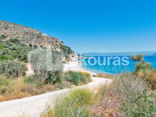 Αγροτεμάχια 4.260,36 τ.μ. για πώληση, Αργολίδα, Λέρνα-thumb-27