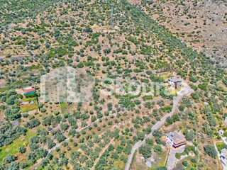 Αγροτεμάχια 4.260,36 τ.μ. για πώληση, Αργολίδα, Λέρνα-thumb-10