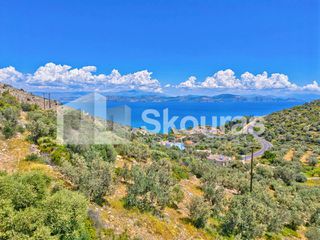 Αγροτεμάχια 4.260,36 τ.μ. για πώληση, Αργολίδα, Λέρνα-thumb-20