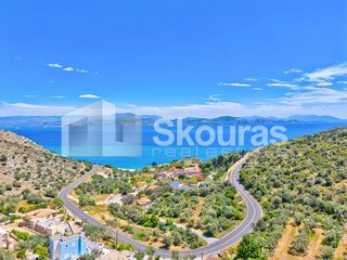 Αγροτεμάχια 4.260,36 τ.μ. για πώληση, Αργολίδα, Λέρνα-thumb-7