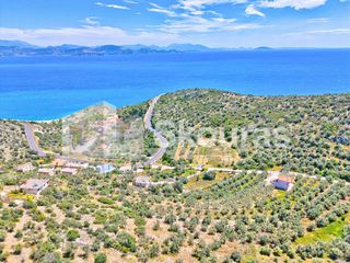 Αγροτεμάχια 4.260,36 τ.μ. για πώληση, Αργολίδα, Λέρνα-thumb-21