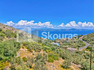 Αγροτεμάχια 4.260,36 τ.μ. για πώληση, Αργολίδα, Λέρνα-thumb-5